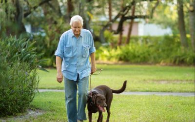 Feeling Unsteady on Your Feet? Why a Simple Inner Ear Screening Could Help